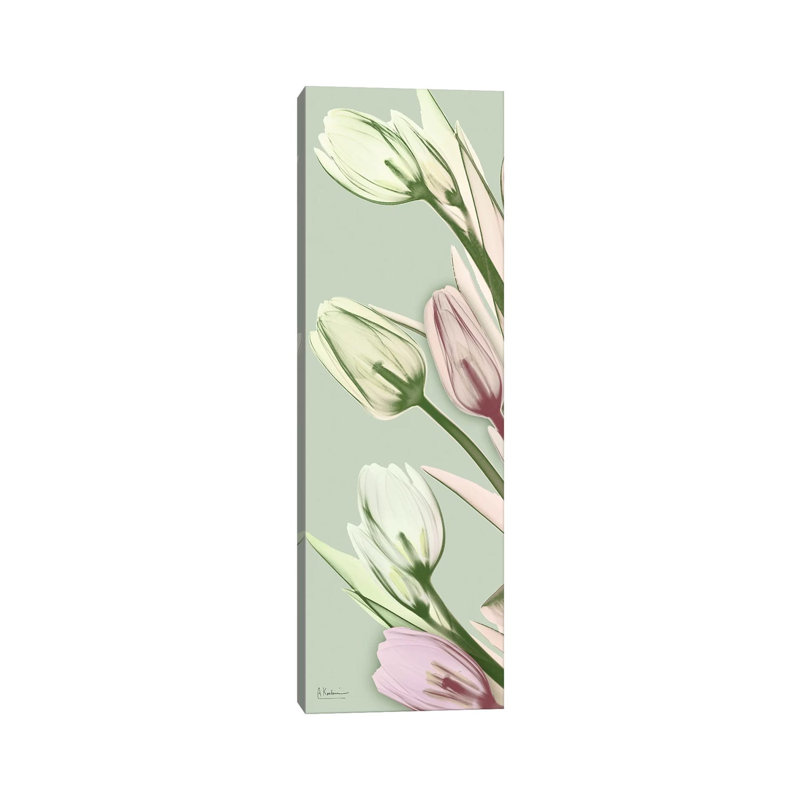Spring Time Tulips 1 Piece Wrapped Canvas Panoramic Wall Art, 121.92 cm H x 40.64 cm W x 3.175 cm D