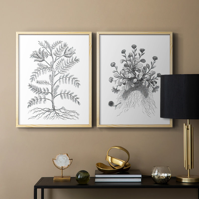 Reproduction encadrée de qualité supérieure B&W Plant Speciment IX - prête à être accrochée - aucun clou requis - aucun clou requis