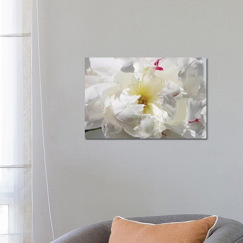 Breathless II by Irena Orlov - Wrapped Canvas Print, 45.72cm H x 66.04cm W x 1.91cm D