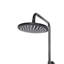 Mccarthy Mixer Shower with Dual Shower Head