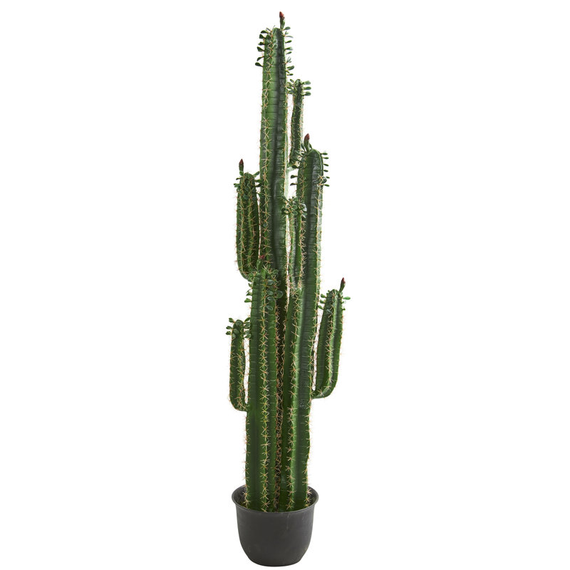 Cactus artificiel en pot