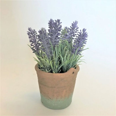 Arrangement floral lavande en pot