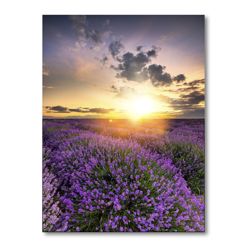 Lavande champ coucher de soleil paysage - art mural traditionnel sur toile, H 32 po x l 16 po x P 1 po, Toile tendue