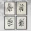 «Vintage Floral Print», impression encadrée, ensemble de 4-1451409948-1451409955