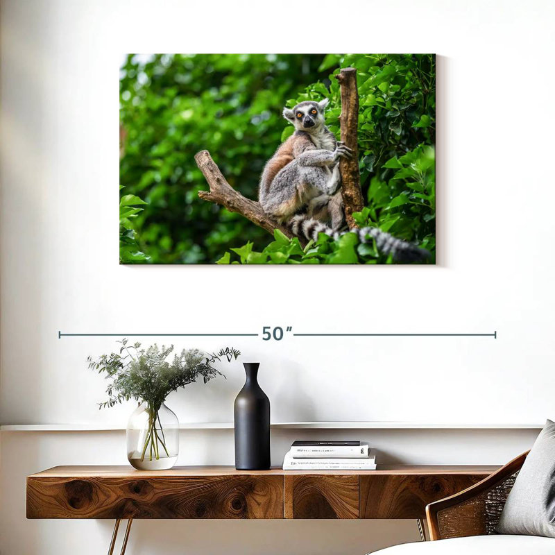 Brampt Stunned Lemur, 24" H x 36" W
