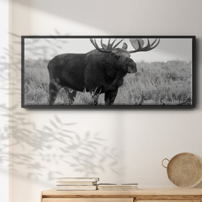 Grand Teton Bull Moose - toile encadrée
