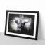 Paint Splattered Highland Cow Framed Print-56866156-56866158