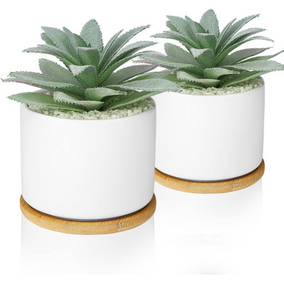 Ensemble de 2 plantes grasses artificielles dans des pots en céramique avec des plateaux en bambou