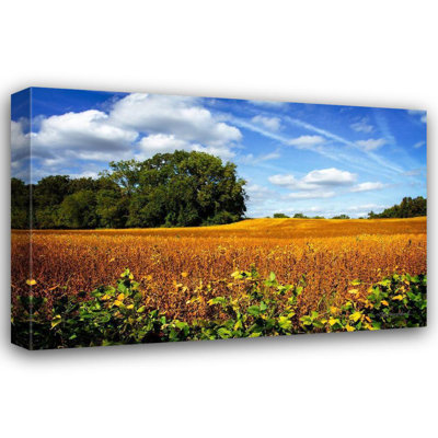 Latitude Run® HauseFootballock, Alan Gallery Wrapped Canvas Art Titled: Soybean Harvest