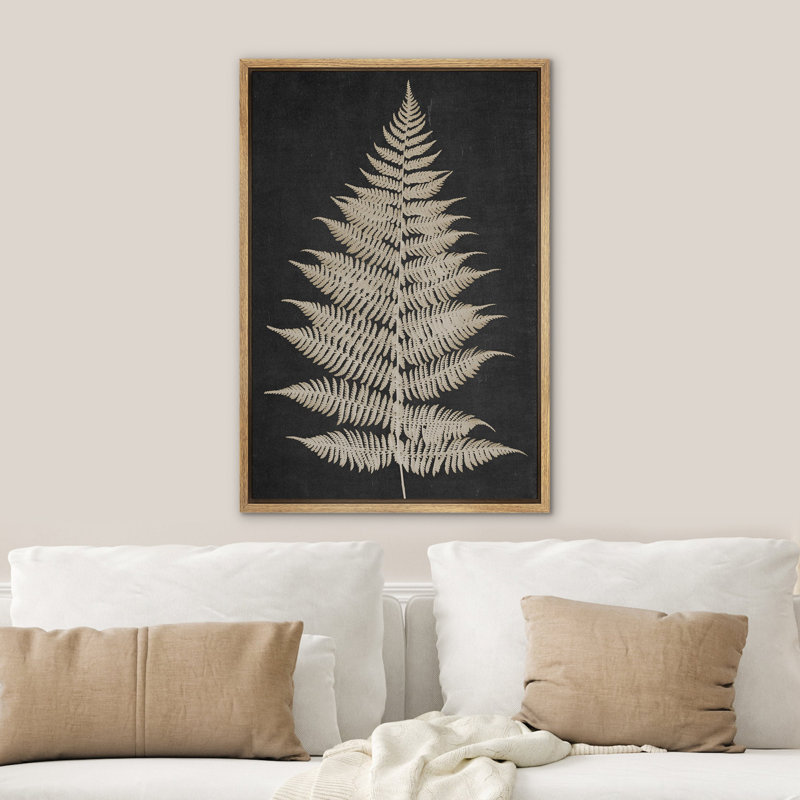 Œuvre d'art botanique neutre, feuille de fougère gris foncé minimaliste, Cadre flottant blanc, H 24 po x l 16 po