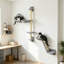 Cat Perch