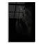 «Black Pearl» par PhotoINC Studio-2034041950