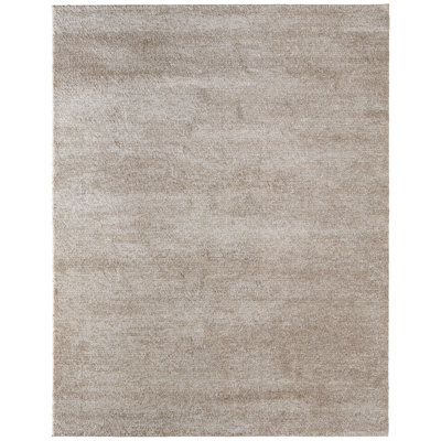Clair Modern Distressed Area Rug