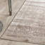 Raposo Oriental Area Rug-16541446