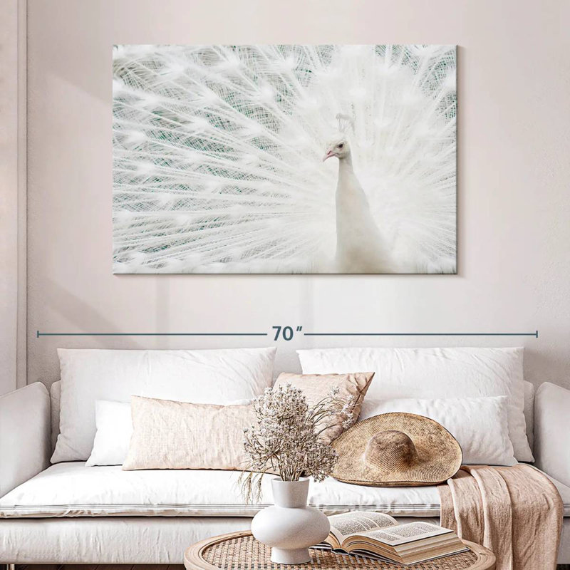 Plume de paon blanc neige Brampt, H 32 po x l 48 po