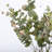 Hamlin 36 " Silk Eucalyptus Arrangement-354021856