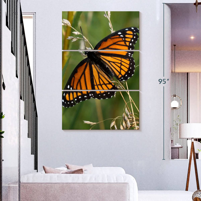 Brampt Monarch Butterfly Up Close, 74" H x 48" W