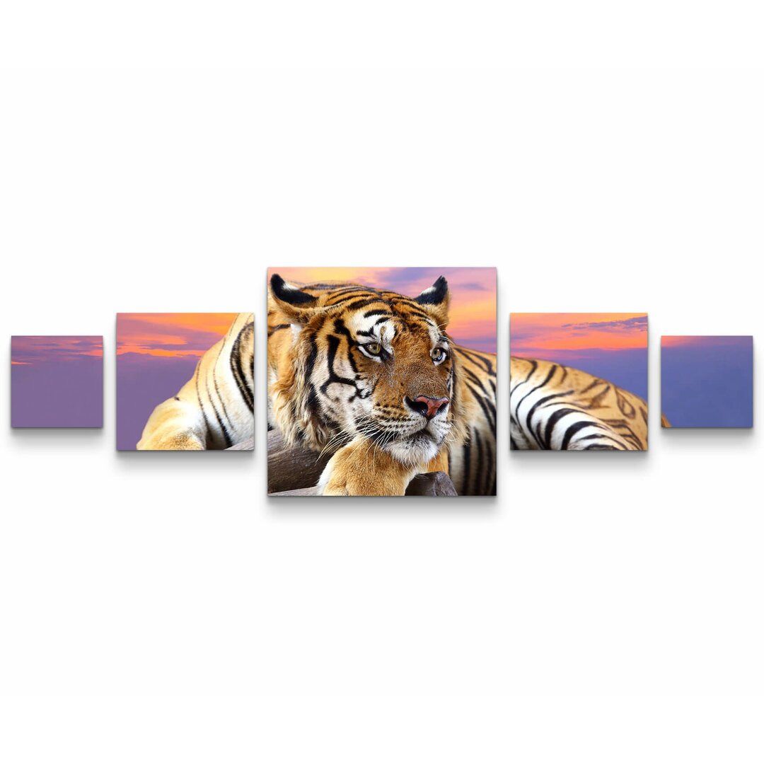 5-tlg. Leinwandbilder-Set Liegender Tiger mit Sonnenuntergang im Hintergrund