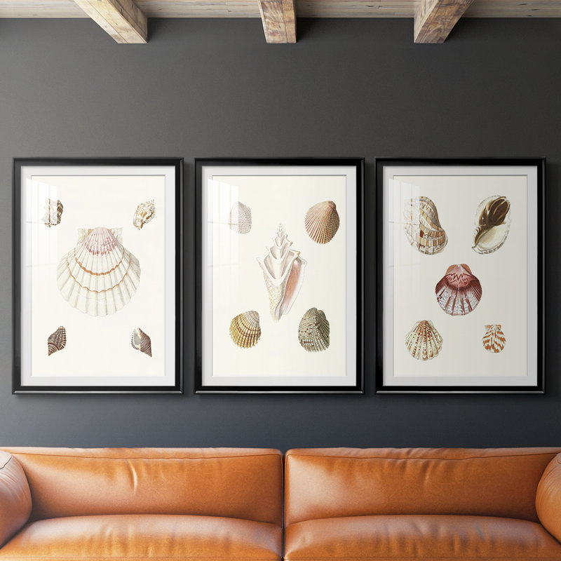 Pastel Knorr Shells IV - impression encadrée sur mesure de qualité supérieure - 3 pièces, Noir, H 21 po x l 30 po