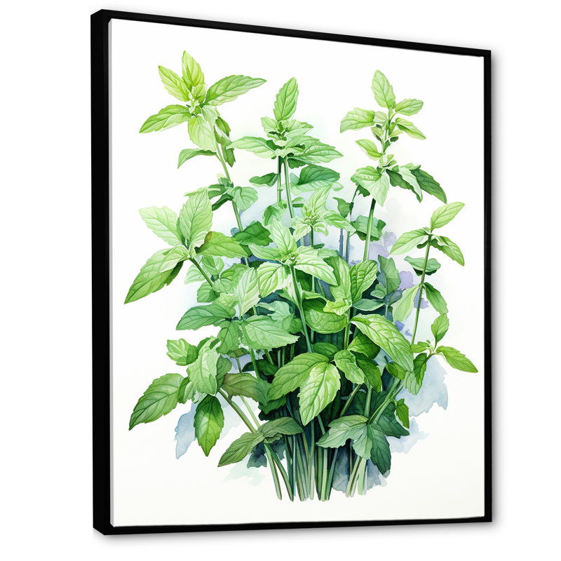 Herbes, menthe, fraîcheur 1 - Art floral, Cadre flottant noir, H 32 po x l 16 po