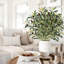 4 PCS Fake Olive Tree Branches Faux Olive Branches for Vase 37 inch Long Stems Artificial Greenery Stems Bulk Green Leaves Plant Twigs Decor