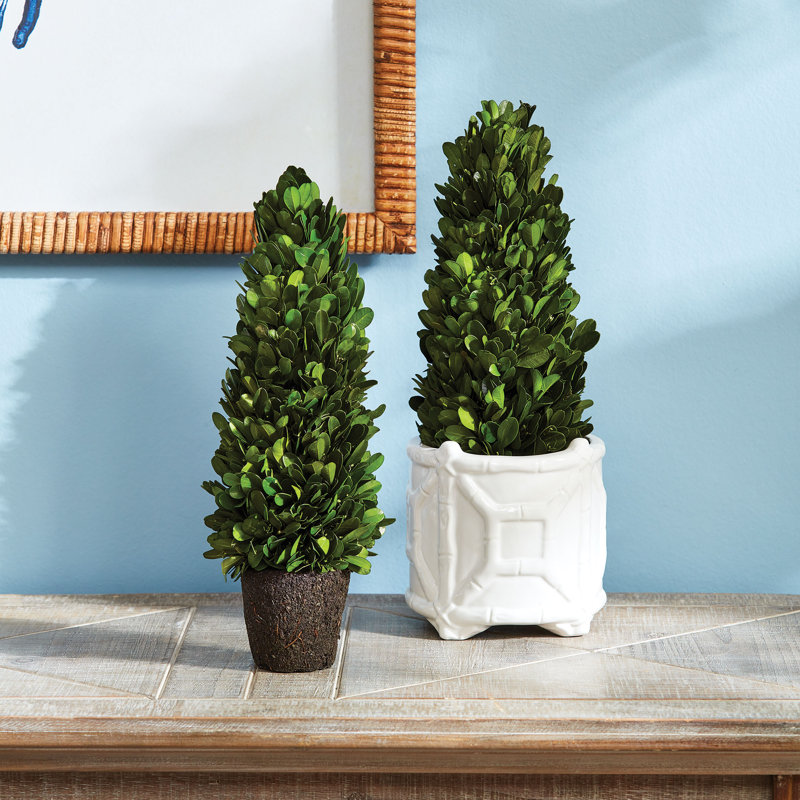 Alby Faux Plant, 12" H x 4" W x 4" D