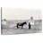 Lelar Comanche Indian-108853746