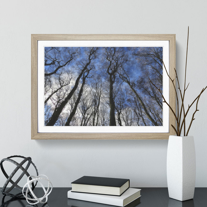 Beautiful Forest - Picture Frame Painting, Oak Framed, 27cm H x 36cm W x 2cm D