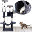 Abernathy 170cm H Cat Tree-43747754