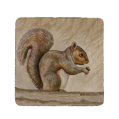 Lyon Square 4 Piece Coaster Set