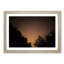 Forest at Night in Abstract - Picture Frame Graphic Art Print-55723366-55723367