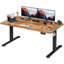Mallus 120CM x 60CM Electric Height Adjustable Standing Desk-1903795302-1965872733