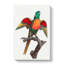 A Blue-Headed Parrot by F. Levaillant - Wrapped Canvas Painting-55368403
