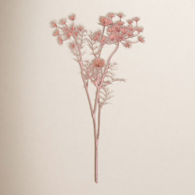 Madie Queen Anne's Lace Stems
