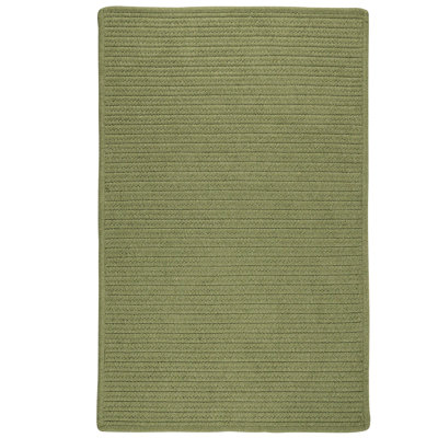 Tapis vert Tommy
