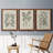 " Antique Black And White Botanical VII " 3 - Pieces-408395202-408395207