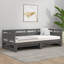 Alviso Solid Wood Daybed with Trundle-815747542-815747538
