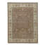 Wool Oriental Area Rug in Ivory