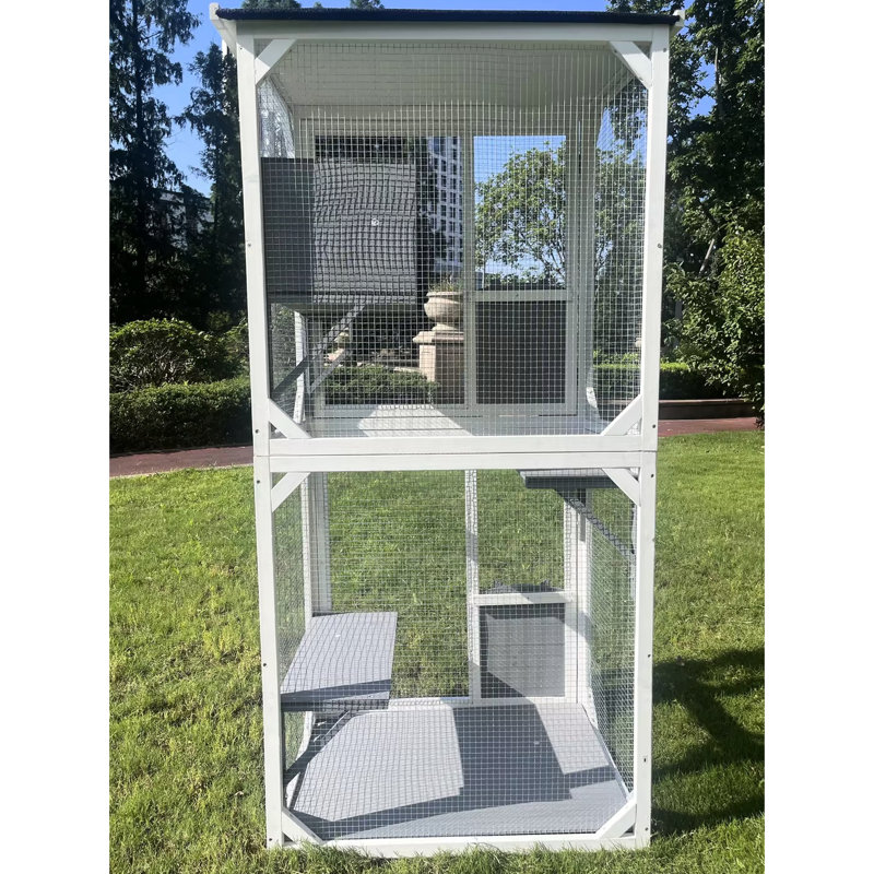 Cage à chat pour monter et sauter - Bois massif pour une boîte de vie active