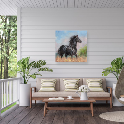David Stribbling Black Horse Outdoor  Canvas