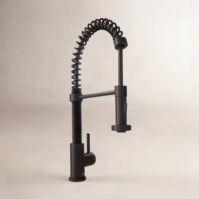 Edison 19" H 1-handle Pull-Down 2-Function Sprayer Kitchen Faucet, Matte Black, Without Soap Dispenser