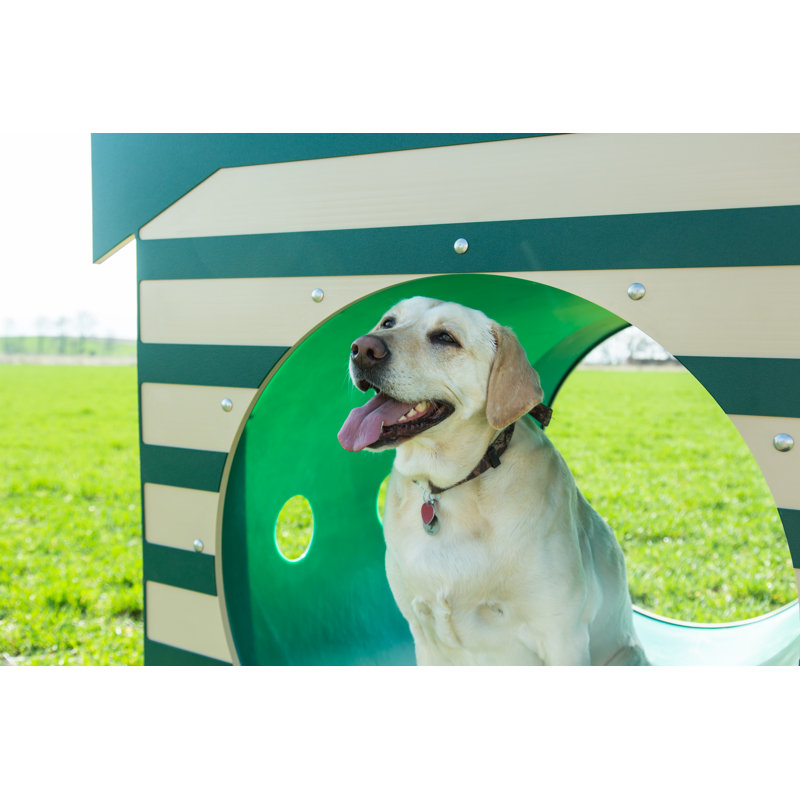 Tunnel à analyser recyclé en écorce d’écorces avec niche pour chien