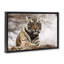 «Strong Tiger Atop Hill» par Danita Delimont-597924079-597924072