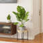 Support pour plante en rotin