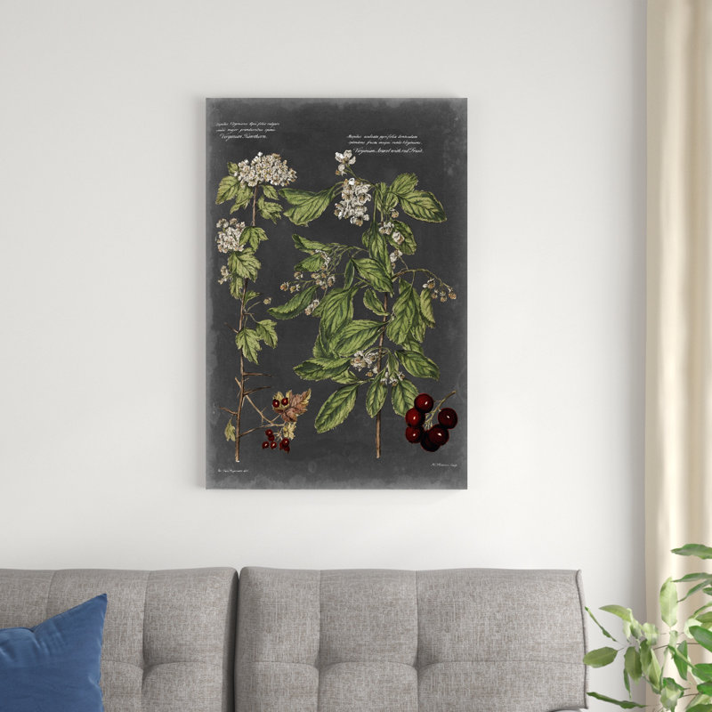 Tableau botanique rétro VI, H 36 po x l 24 po x P 1,25 po