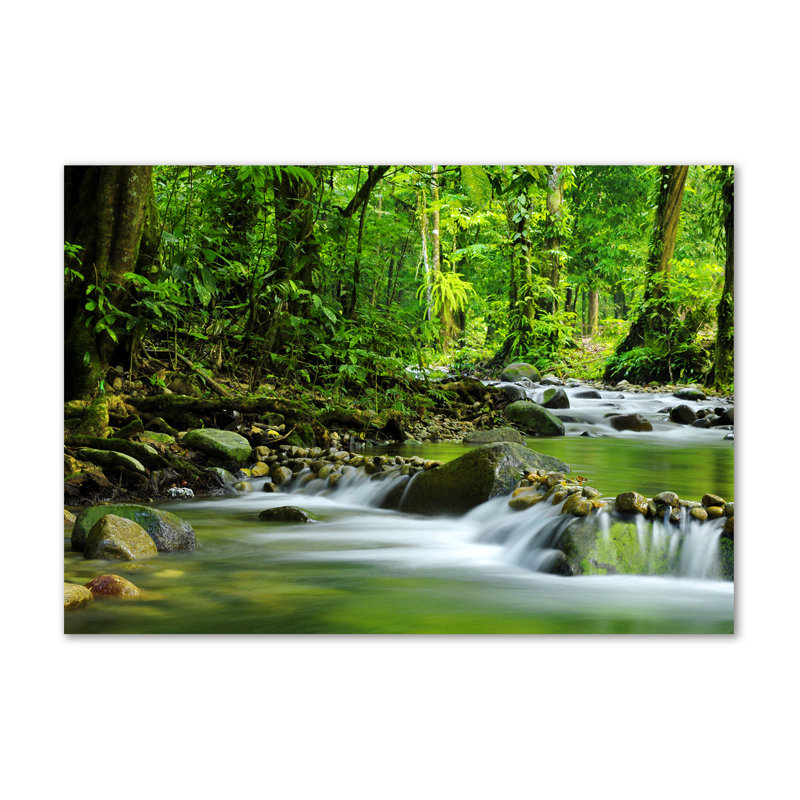Mountain Stream - Wrapped Canvas Print