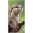 Quick Dry Microfiber Clawed Otter Beach Towel, 32 x 63 in