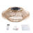 Ahquan 18.89'' Ceiling Fan with Light Kit