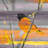 " Bedford " by Parvez Taj-50247832