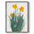 Daffodil Bunch I Framed Print - Solid Wood-851307764